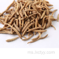 akar ginseng merah korea